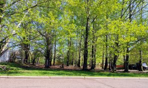 W Elm Street Thorp lot – 0.6 acre lot with creek frontage!